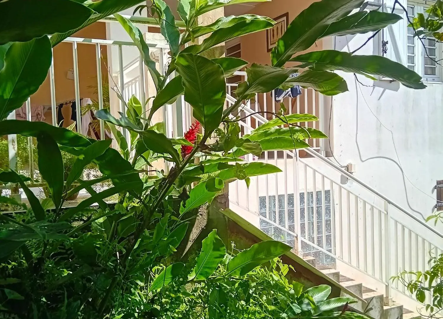 Appartement Charmant En Centre Ville De Sainte Luce 80 M² + Vue